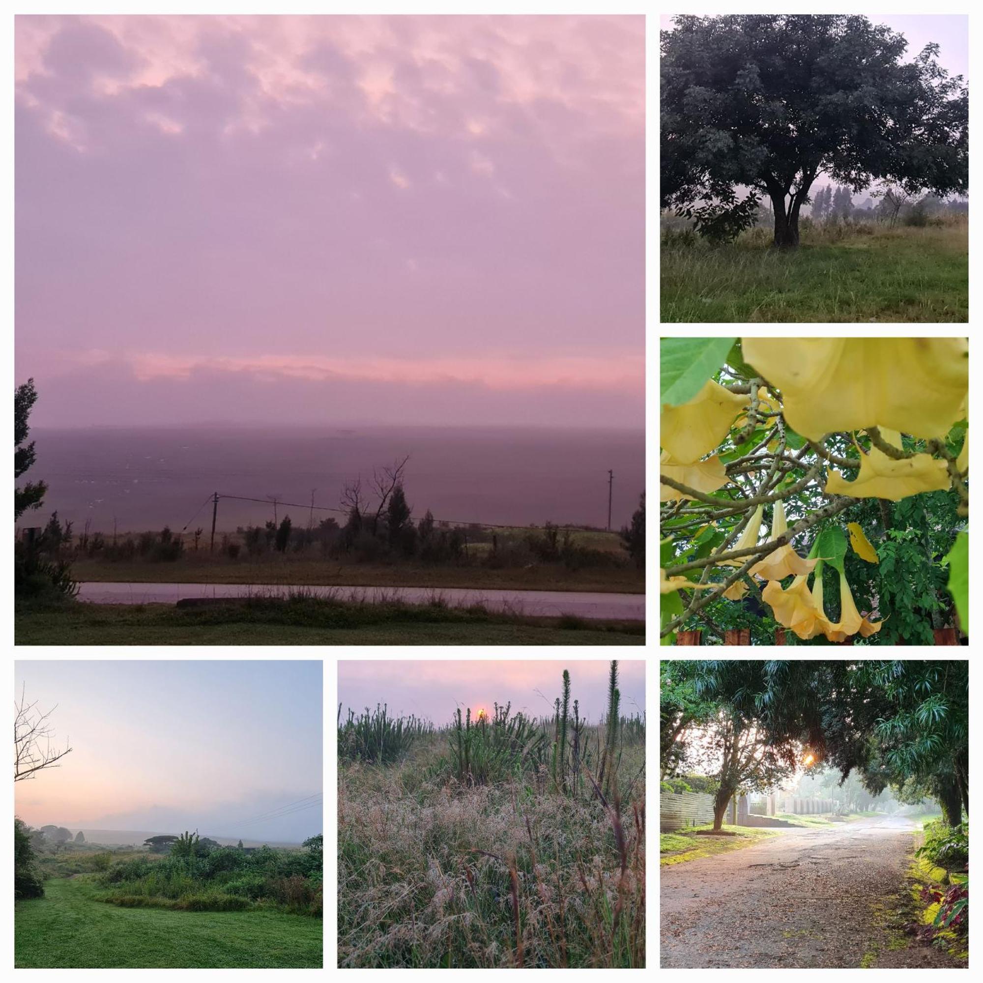 جراسكوب Mosswood Bed & Breakfast المظهر الخارجي الصورة